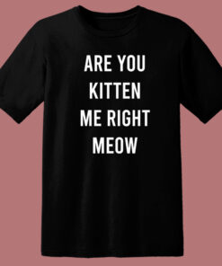 Are You Kitten Me Right Meow T Shirt Style 1