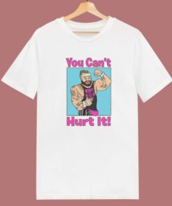 Bray Wyatt You Can’t Hurt It T Shirt Style