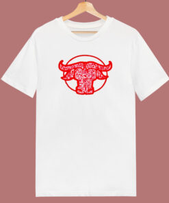 Dior X Shawn Stussy Chinese New Year 80s T Shirt Dior X Shawn Stussy Chinese New Year 80s T Shirt