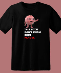 Don’t Know Bout Pangea T Shirt Style Don’t Know Bout Pangea T Shirt Style
