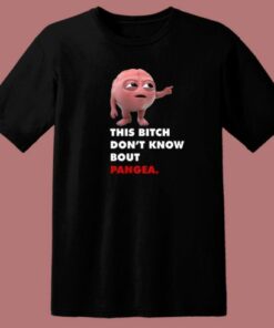 Don’t Know Bout Pangea T Shirt Style