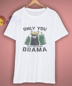Only You Can Prevent Drama 3
