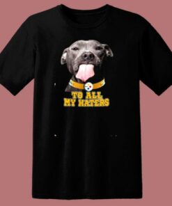 Pittsburgh Steelers To All My Haters 80s T Shirt