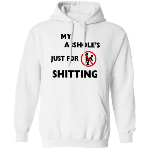 Ahole Just For Shtting Shirt Shirt Sweatshirt Long Sleeve Hoodie Tank Mug