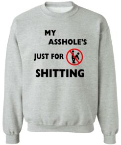 Ahole Just For Shtting Shirt Shirt Sweatshirt Long Sleeve Hoodie Tank Mug 3