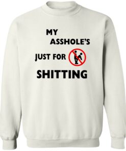 Ahole Just For Shtting Shirt Shirt Sweatshirt Long Sleeve Hoodie Tank Mug 4