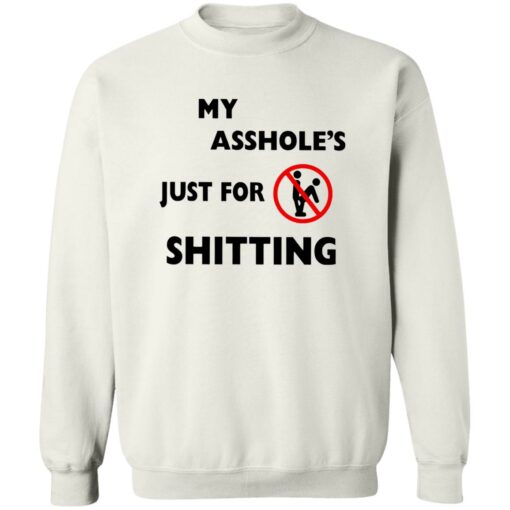 Ahole Just For Shtting Shirt Shirt Sweatshirt Long Sleeve Hoodie Tank Mug