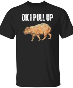 Capybara ok i pull up shirt Shirt Sweatshirt Long Sleeve Hoodie Tank Mug