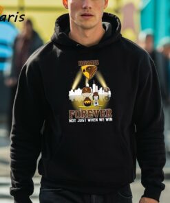 Charlie Brown And Snoopy Afl Hawthorn Football Club Forever Not Just When We Win T shirt 3