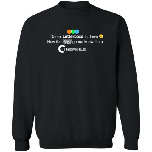 Damn letterboxd is down how the hoes gonna know shirt Shirt Sweatshirt Long Sleeve Hoodie Tank Mug