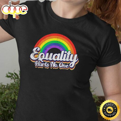 Equality Hurts No One LGBT Rainbow Retro Vintage LGBTQ Valentines Day T-shirt