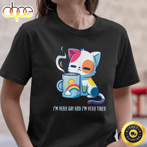 Im Very Gay And Very Tired Funny LGBT Cat Pride Raibow Valentines Day T-shirt