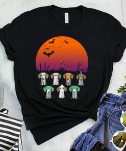 Mummy Dachshunds Halloween Night Pumpkin Tshirt