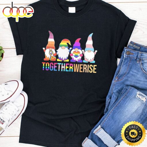 We Are All Human Gnomes Pride Ally Gnome LGBT funny Valentines Day T-shirt