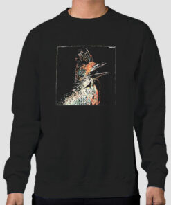 Bird Art Flume Merchandise Sweatshirt Cheap