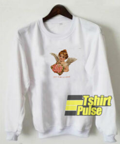 Dont Be An Idiot Angel sweatshirt