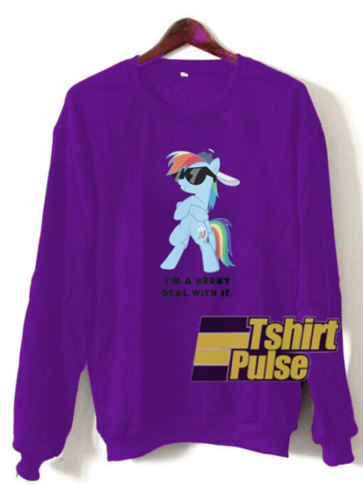 My little Pony Friendship sweatshirt