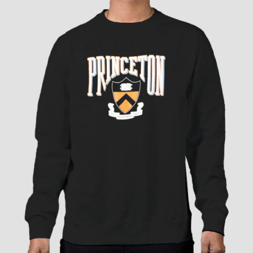 Princeton University Vintage College Sweatshirts Cheap