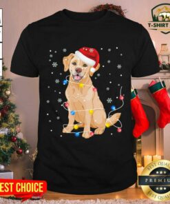 Cute Labrador Dog Santa Hat Christmas Lights Xmas Shirt