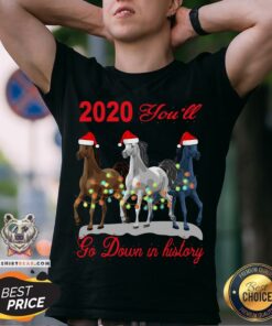 Cute Three Horse 2020 You Will Go Down In History Christmas Shirt