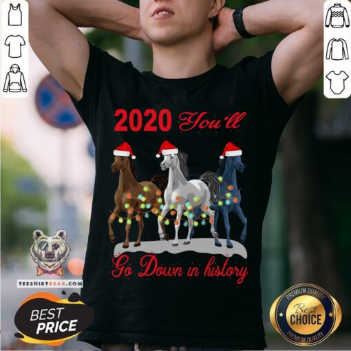 Cute Three Horse 2020 You Will Go Down In History Christmas Shirt