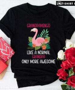 Good Grandpamingo Like A Normal Grandpa Only More Awesome T-Shirt