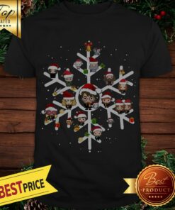 Harry Potter Characters On Snowflakes Shirt