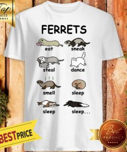 NIce Ferrets Eat Sneak Steal Dance Smell Sleep Sleep Sleep Shirt