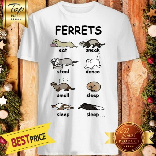 NIce Ferrets Eat Sneak Steal Dance Smell Sleep Sleep Sleep Shirt