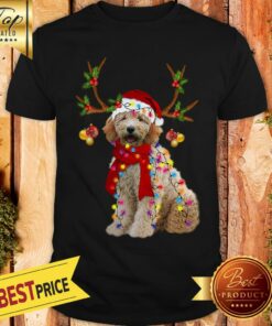 Nice Goldendoodle Gorgeous Reindeer Christmas Shirt