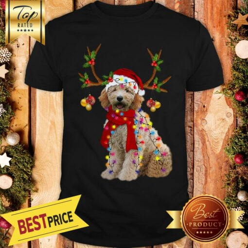 Nice Goldendoodle Gorgeous Reindeer Christmas Shirt