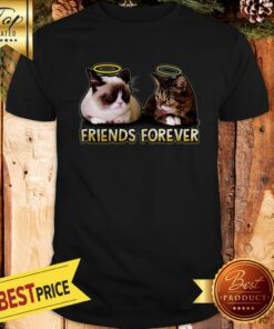 Nice Grumpy And Lil Bub Friends Forever Shirt