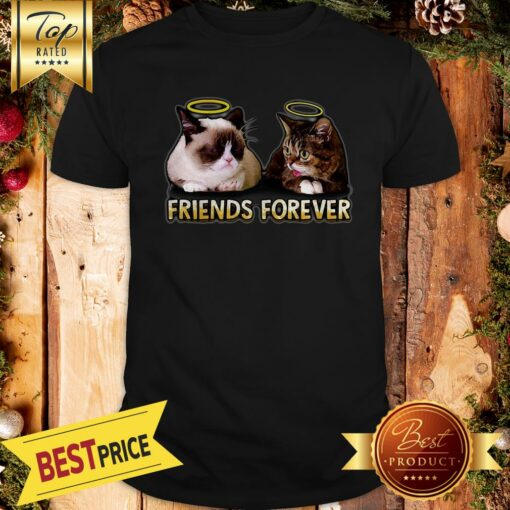 Nice Grumpy And Lil Bub Friends Forever Shirt