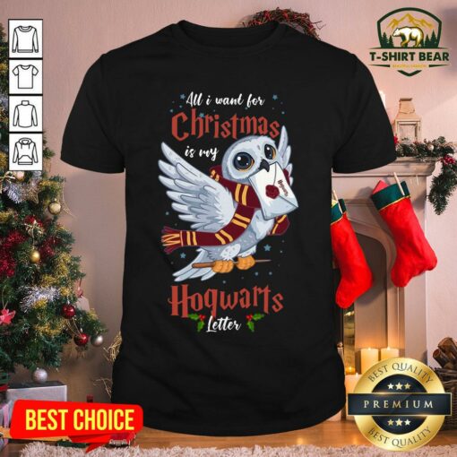 Official Owl All I Want For Christmas Is My Hogwarts Letter Shirt