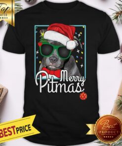 Pitbull Shirt Pit Bull Dog Santa Christmas Shirt
