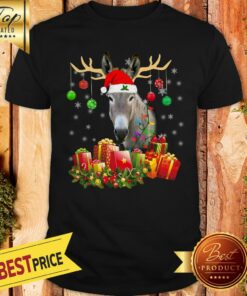 Pretty Donkey-Santa-Hat-Christmas-Light-Xmas Hooded Shirt