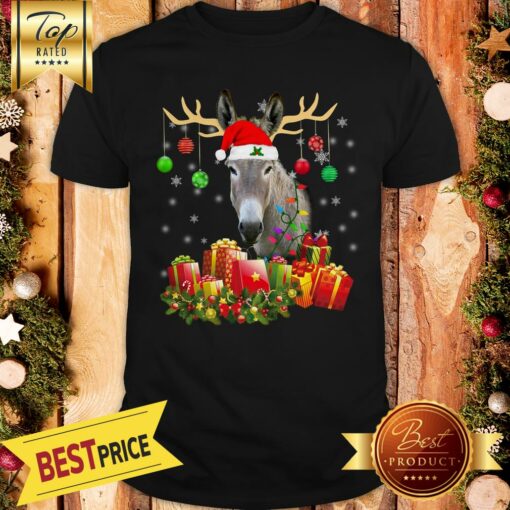 Pretty Donkey-Santa-Hat-Christmas-Light-Xmas Hooded Shirt