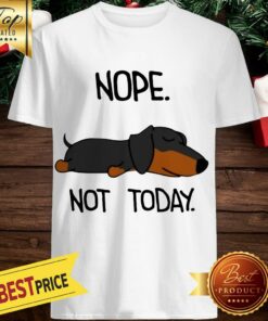 The Dog Is Sleeping Nope Not Today Shirt