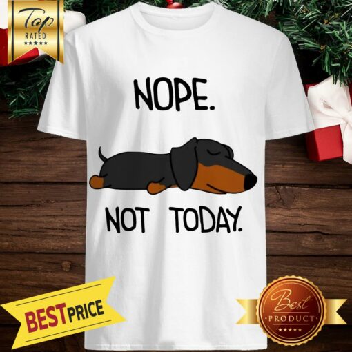 The Dog Is Sleeping Nope Not Today Shirt