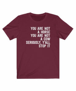 You Are Not A Horse T-Shirt