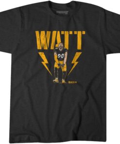 T.J. Watt Sack Celebration