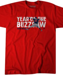 Year of the Buzz Saw