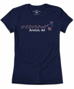 Boston Ducks On The Common T-Shirt