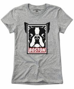 Boston Terrier Frame T-Shirt