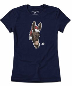 Holiday Donkey T-Shirt