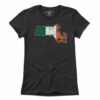 Irish Massachusetts T-shirt