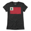 Vintage New England Flag T-Shirt