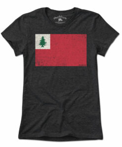 Vintage New England Flag T Shirt 1